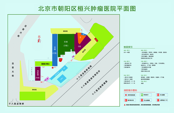 骚B被操免费观看北京市朝阳区桓兴肿瘤医院平面图